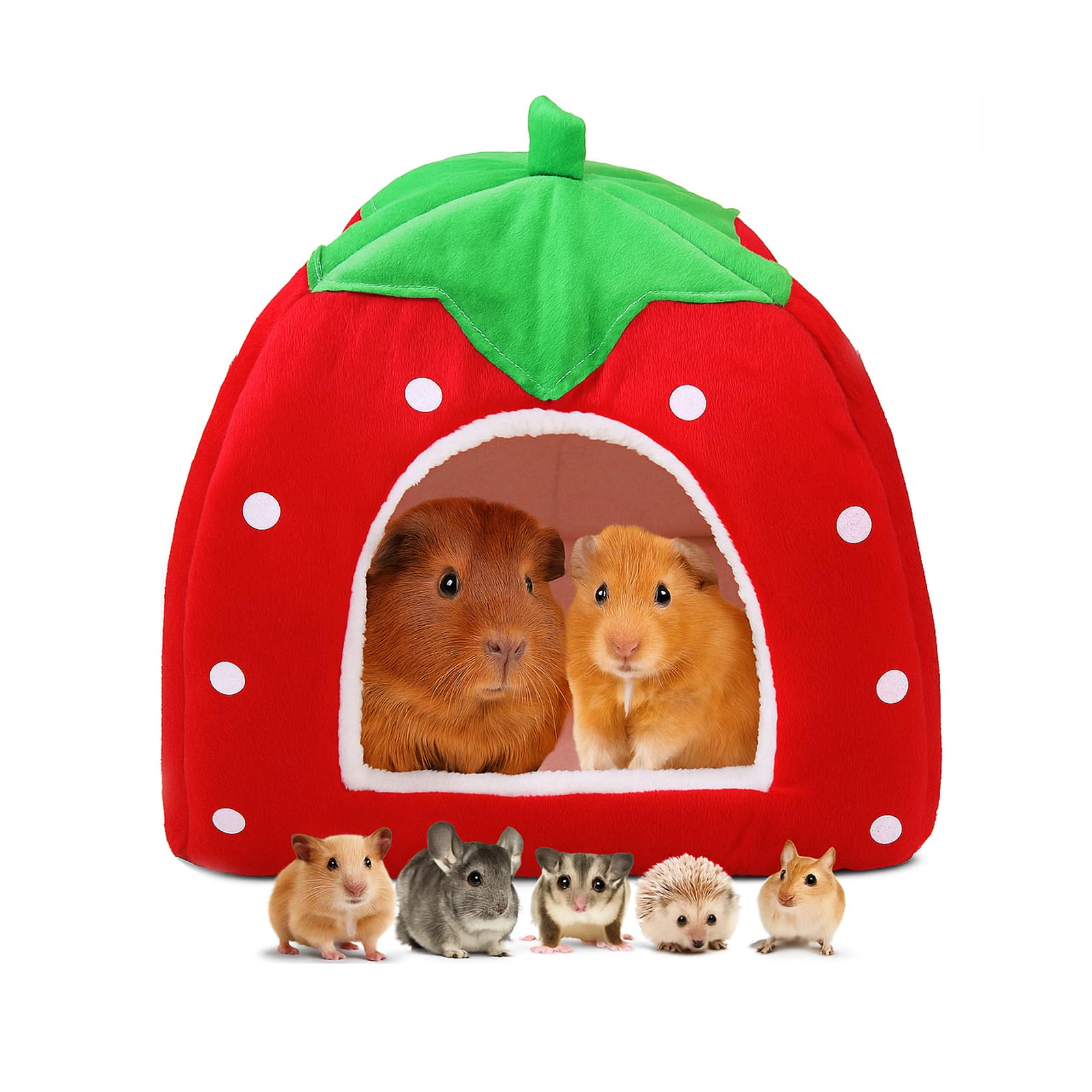 Diseño strawberry de GEGURI aporta estilo decorativo a la jaula.