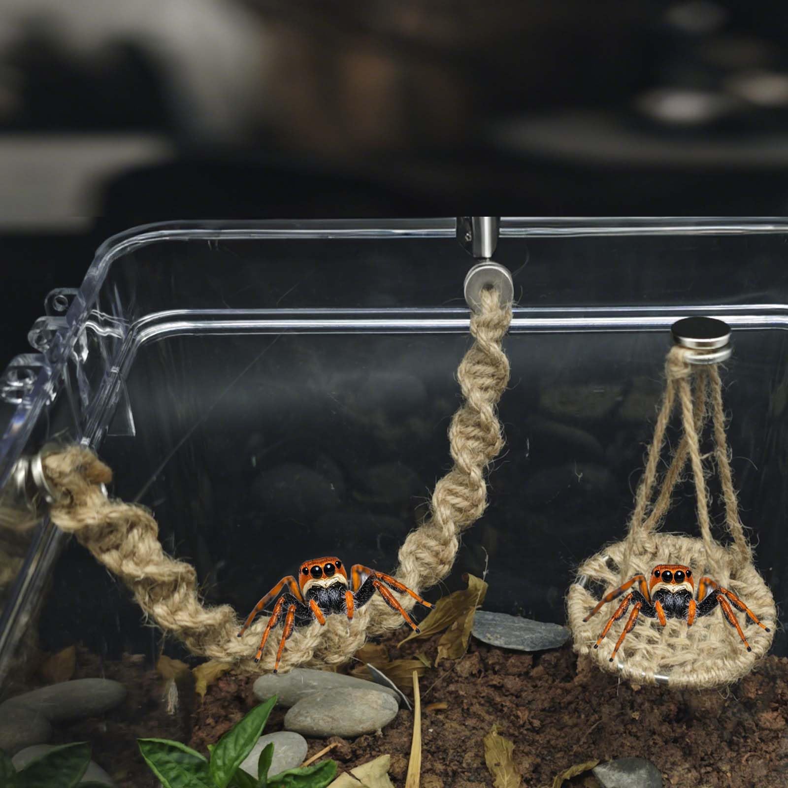 Generic accesorio enriquecimiento terrario - ideal para terrarios dinámicos.