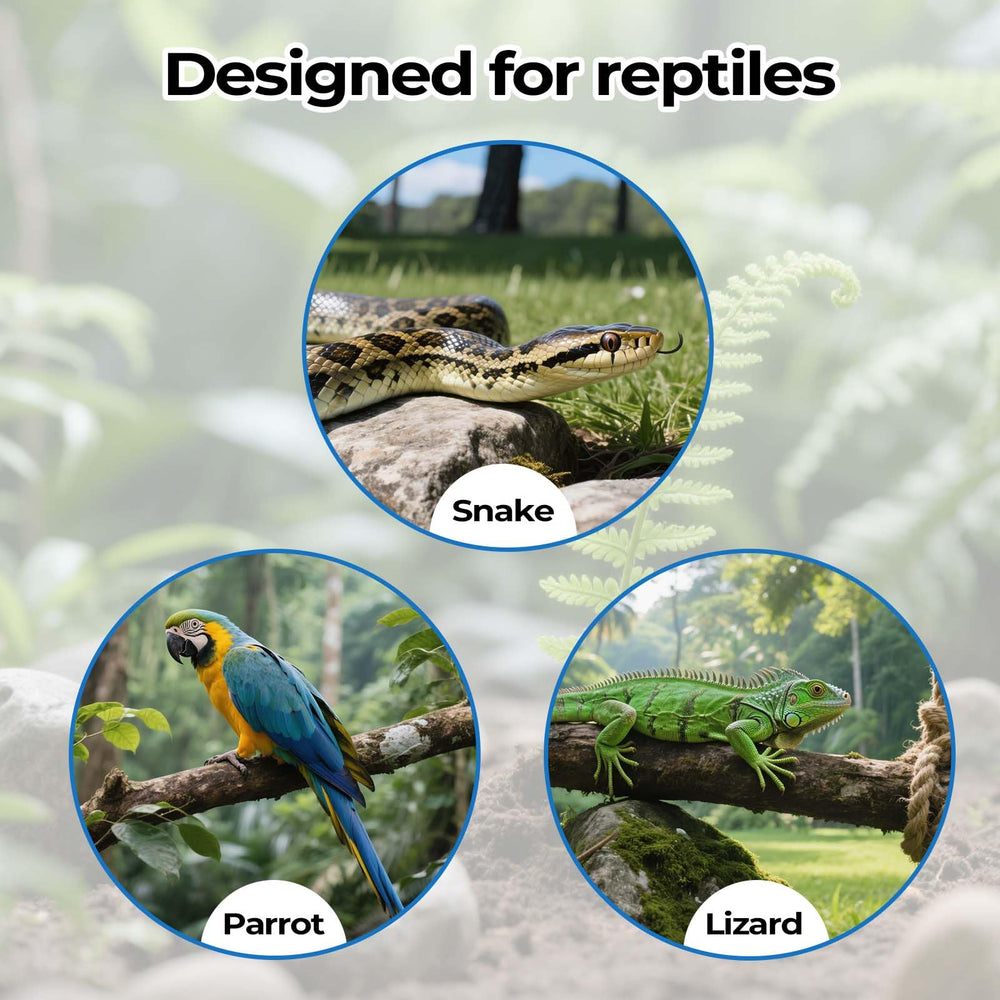 Genérico: accesorios para reptil en terrario, embellecen y enriquecen el hábitat.