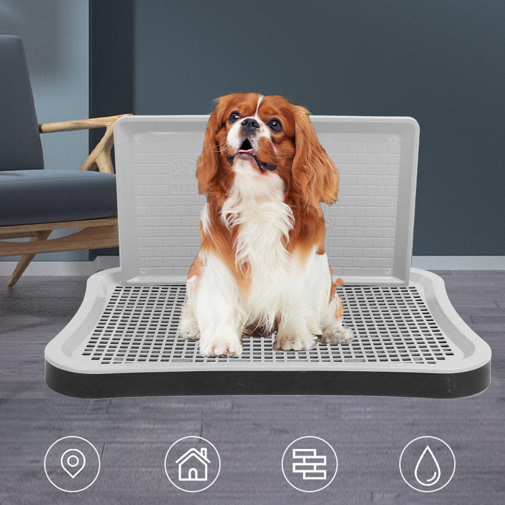 Generic bandeja de entrenamiento para perros, columna larga, estabilidad en casa