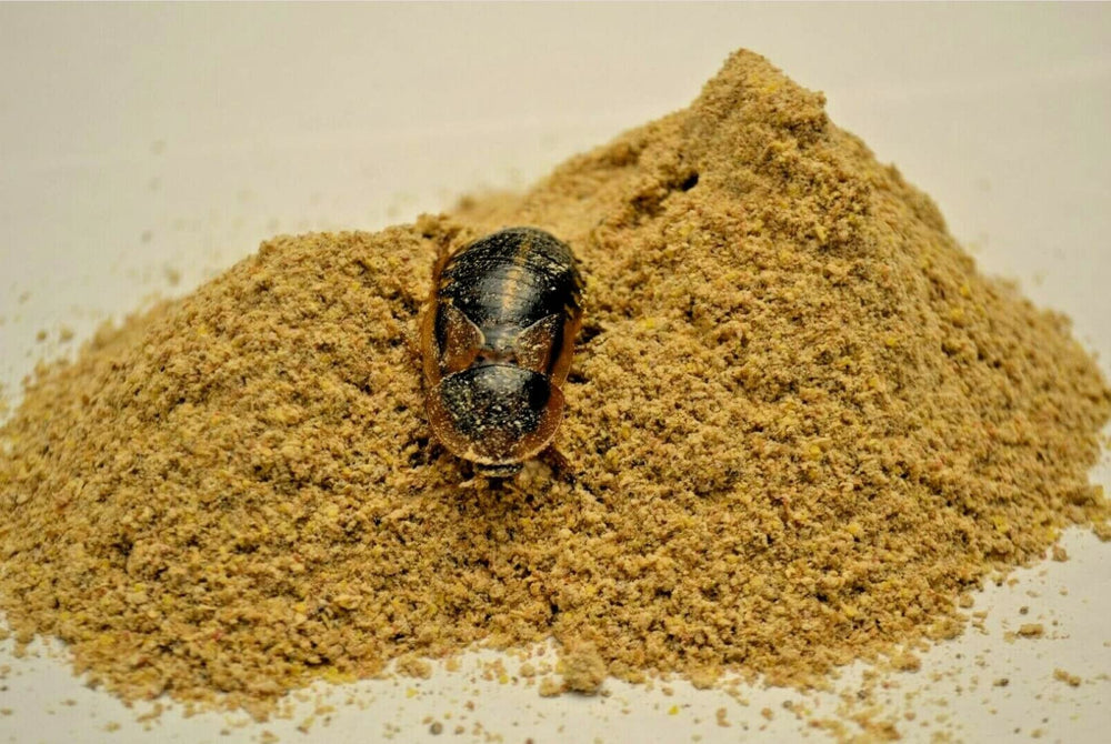 Generic bolsa plateada sellada conserva aroma y frescura para insectos.