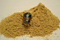 Generic bolsa plateada sellada conserva aroma y frescura para insectos.