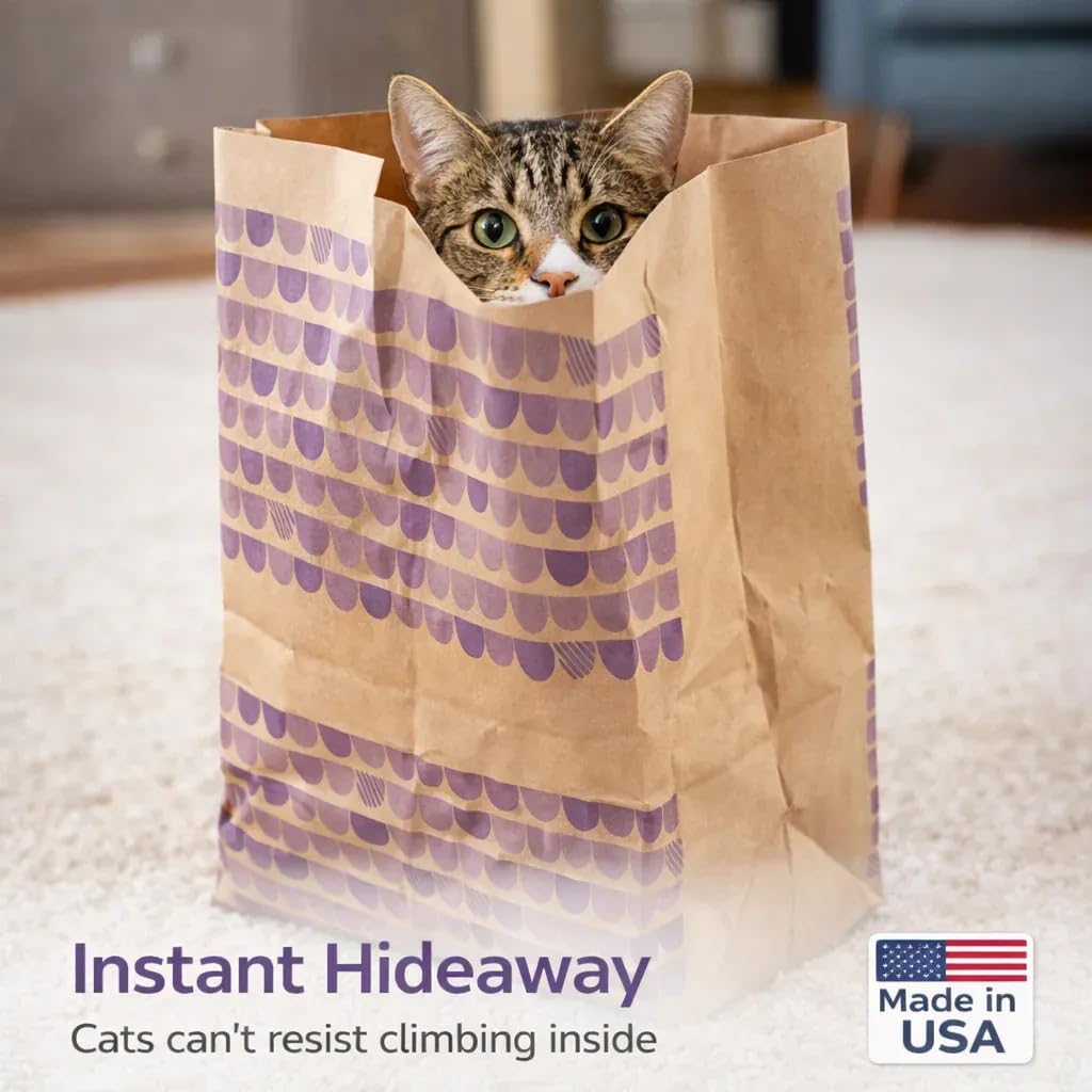 Generic catnip bolsa de papel crujiente, multijugador: ideal para varios gatos.