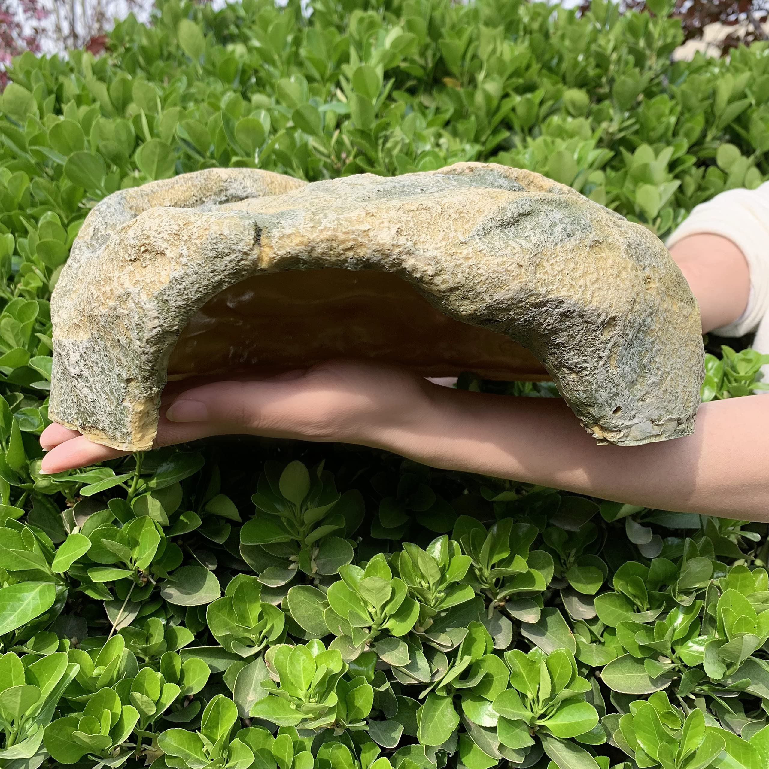 Diseño único Genérica de cueva, amplio espacio para reptiles en terrario.