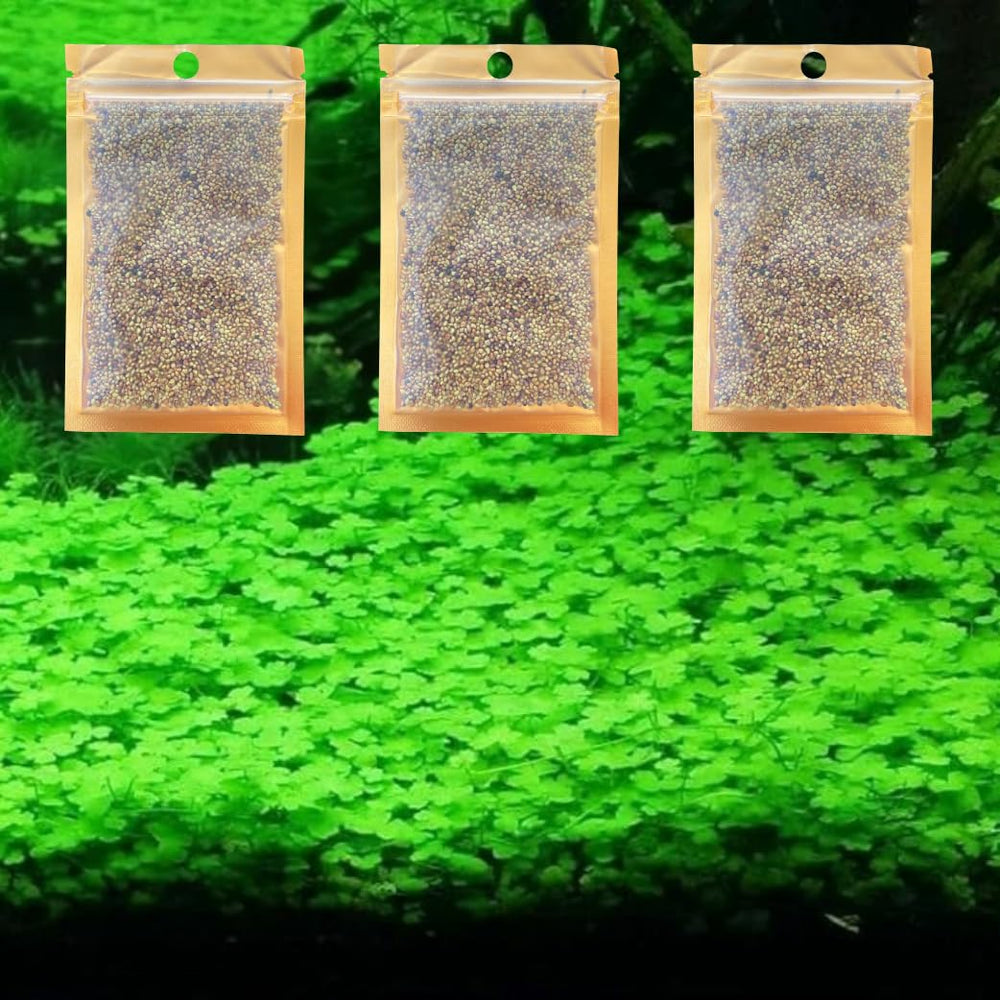 Genérico Lucky Grass alfombra miniatura para acuario, cobertura rápida y estética.