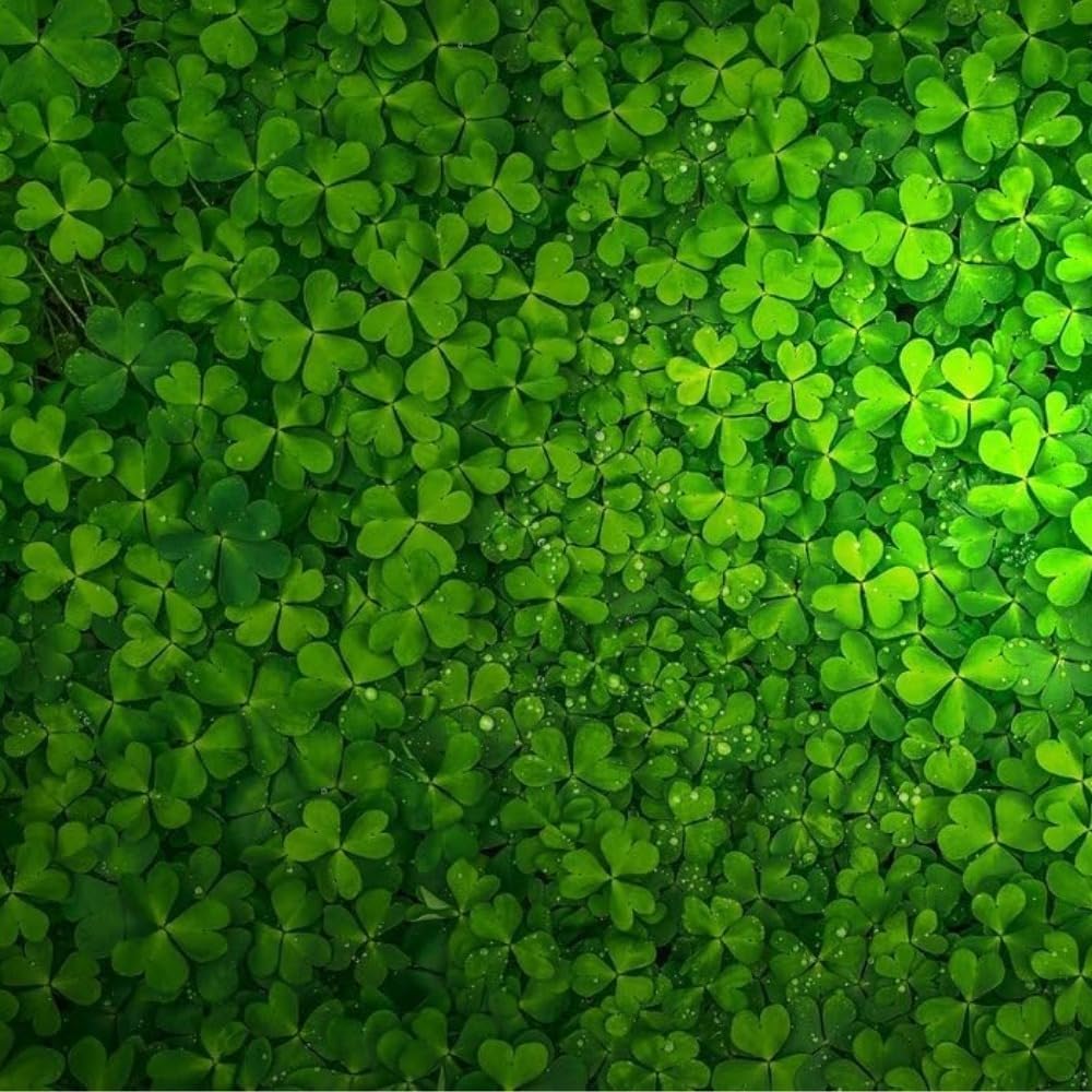 Lucky Grass con plantas pequeñas: estética submarina variada