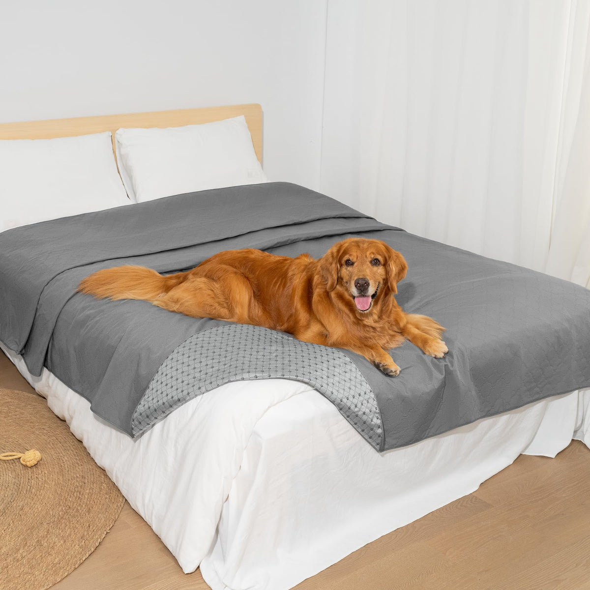 Manta impermeable Generic para perros en sofá, protege de derrames y manchas.