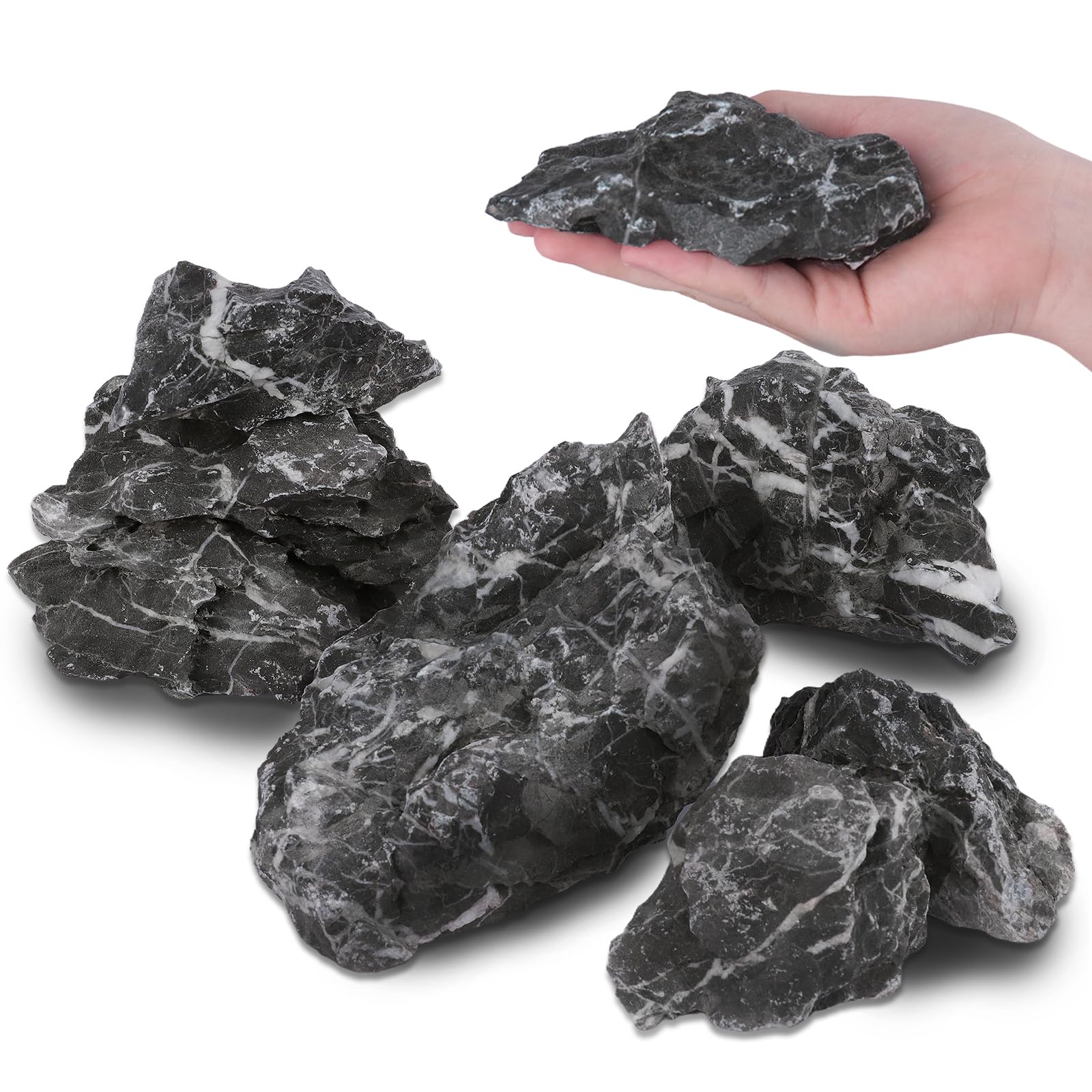 Piedra dragón Seiryu genérica para acuario, superficie porosa para posibles microorganismos.