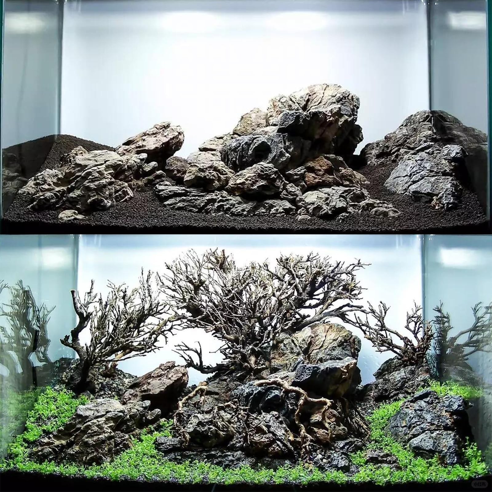 Piedra dragón Seiryu genérica para acuario, textura terrosa que realza el paisaje.