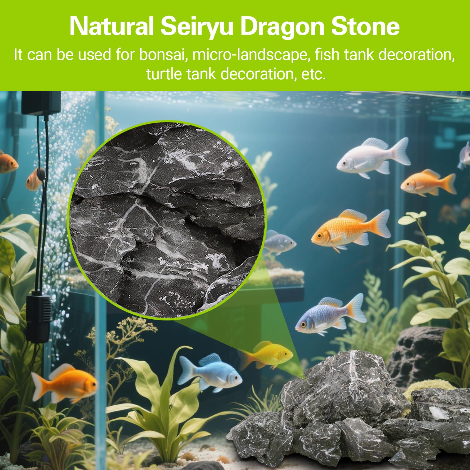 Piedra dragón Seiryu genérica para terrario, zonas de esconderse y decoración.
