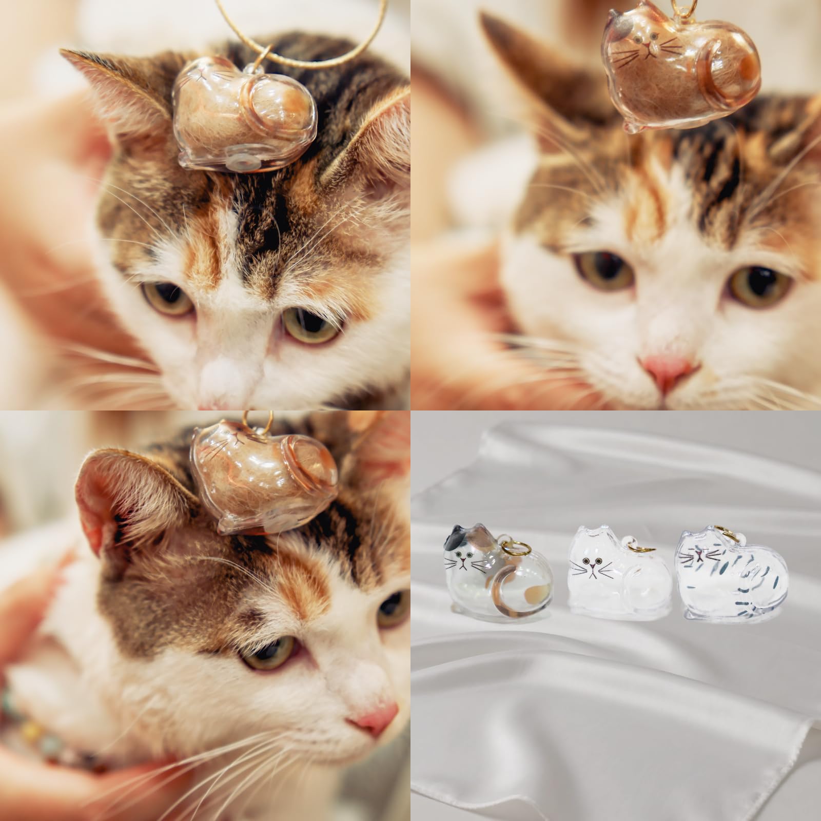 Ideal para hogares con varios gatos y compartir recuerdos.