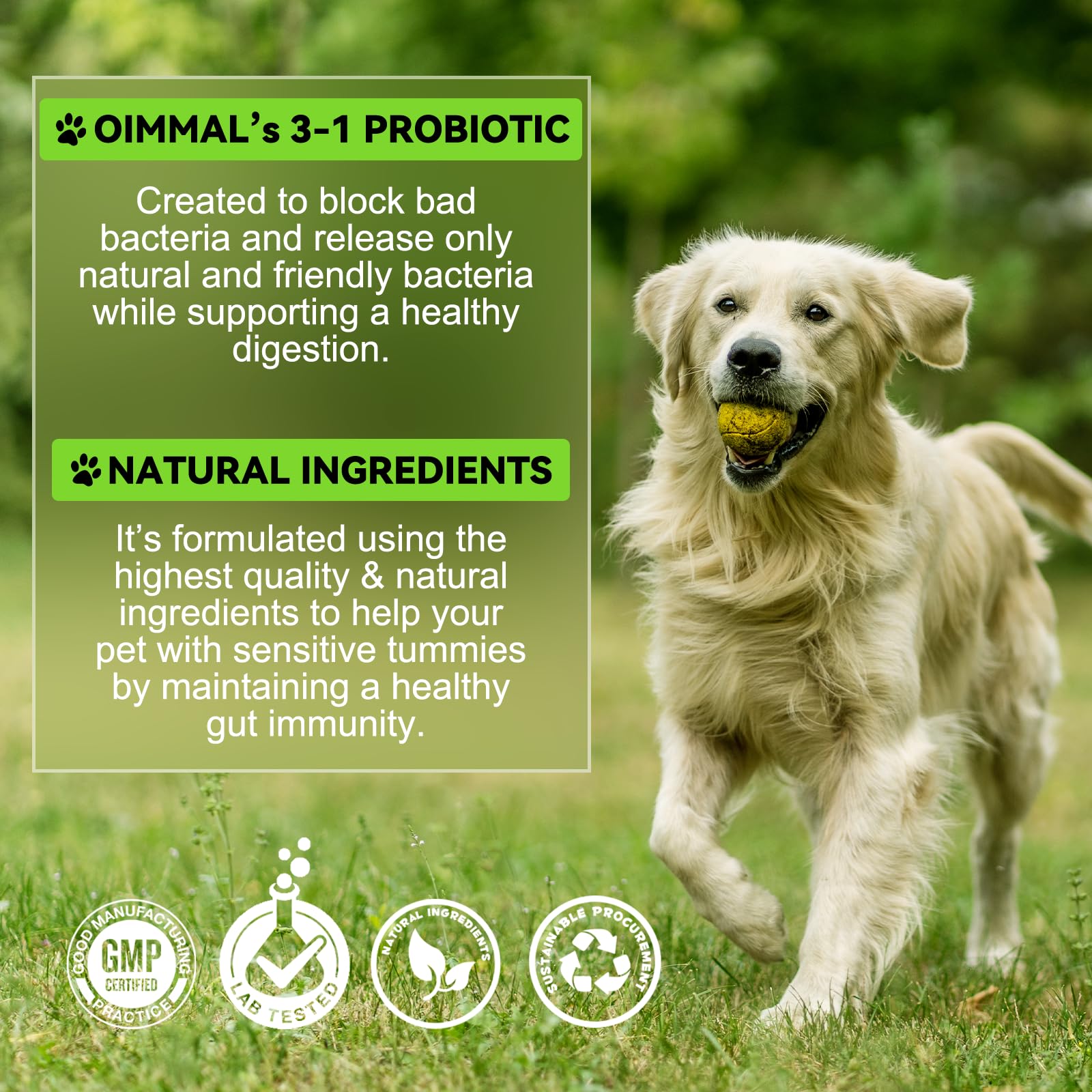Generic Probiotics para perros, ingredientes naturales listados en la caja.