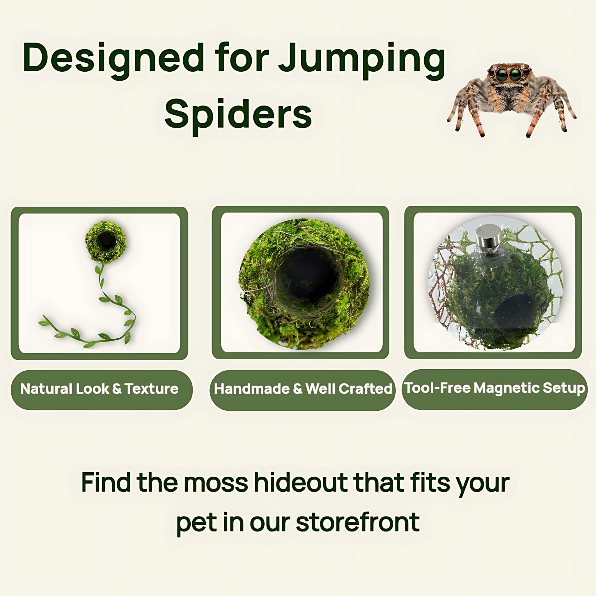 Generic refugio araña saltadora: accesorio terrario natural para refugio cómodo.
