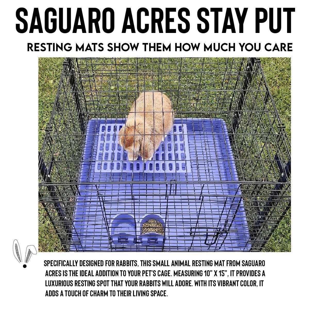 Saguaro Acres, apto para lavavajillas para limpieza rápida.