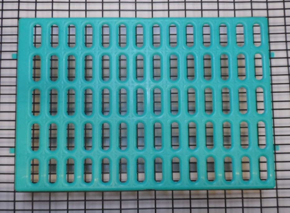 Saguaro Acres, tamaño 15 x 10 pulgadas para jaulas.