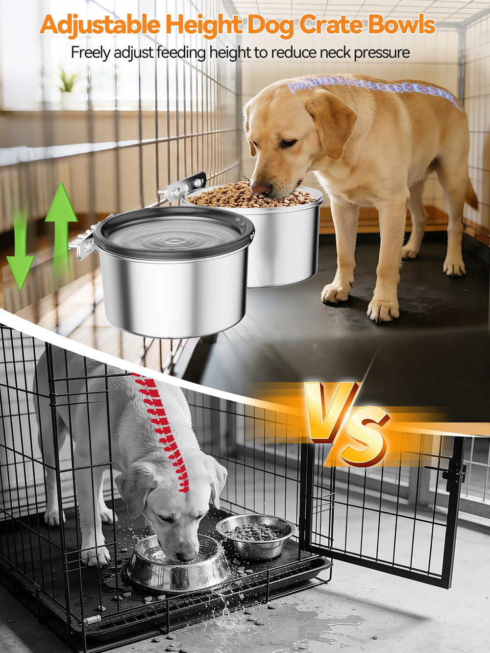 Generic sistema filtrado de agua para tazón de perro.