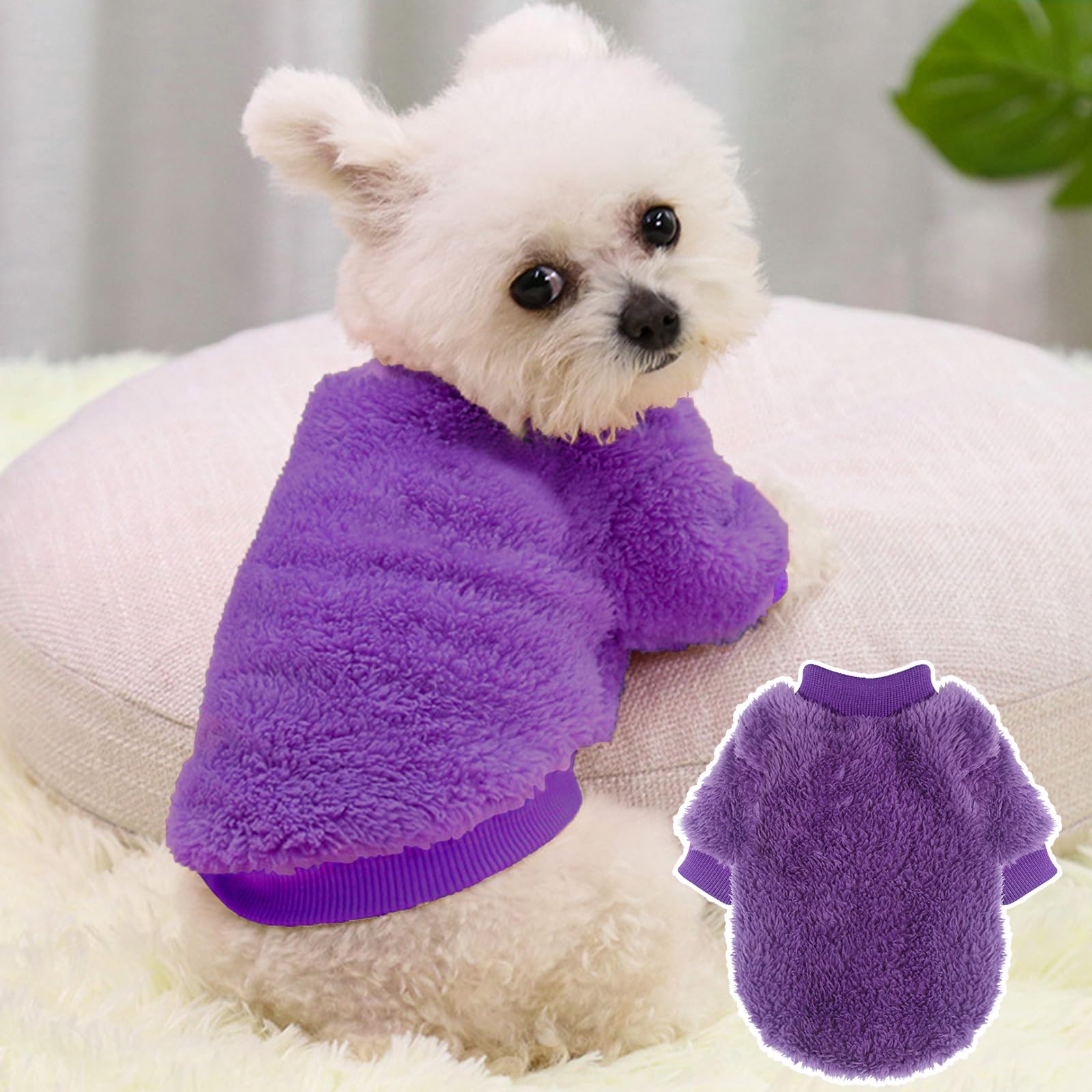 Generic sudadera XXS para cachorros nuevos, ideal para recién llegados