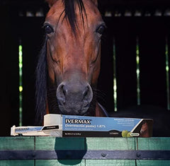 Ivermax pasta-boquilla-aplicacion para dosis precisa en caballos.