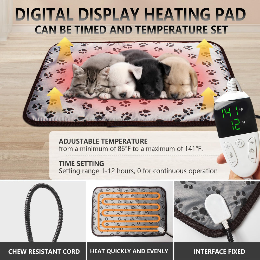 Geniprem incubadora interior transparente para supervisión sin molestar.