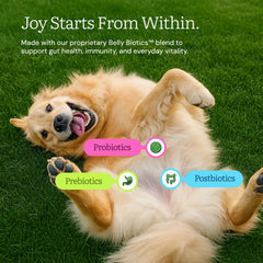 Get Joy: textura liofilizada de pollo para perros, crujiente y sabrosa
