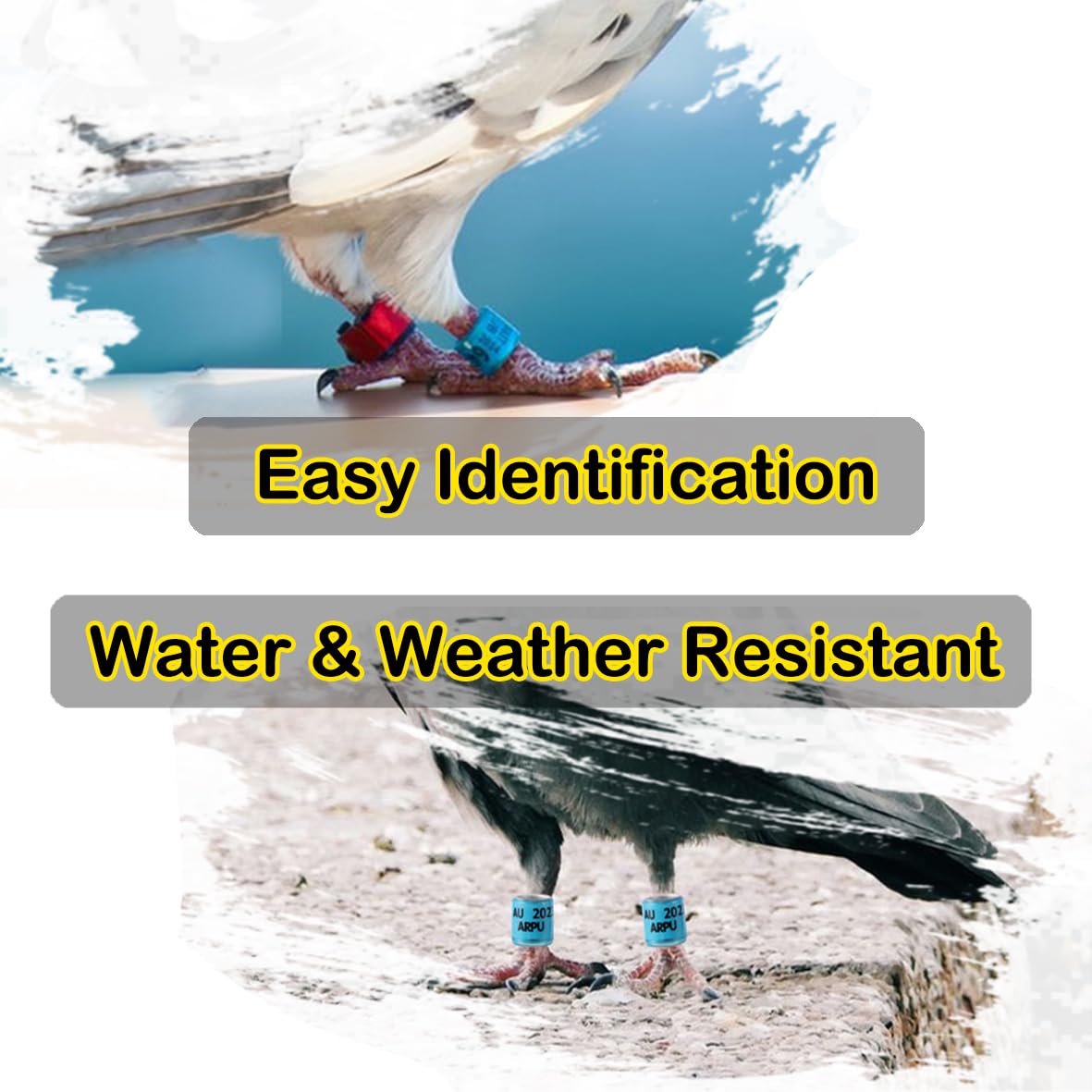 Aros multicolor resistentes con tintas UV de GiYuter aseguran legibilidad prolongada.