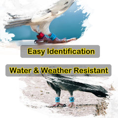 Aros multicolor resistentes con tintas UV de GiYuter aseguran legibilidad prolongada.