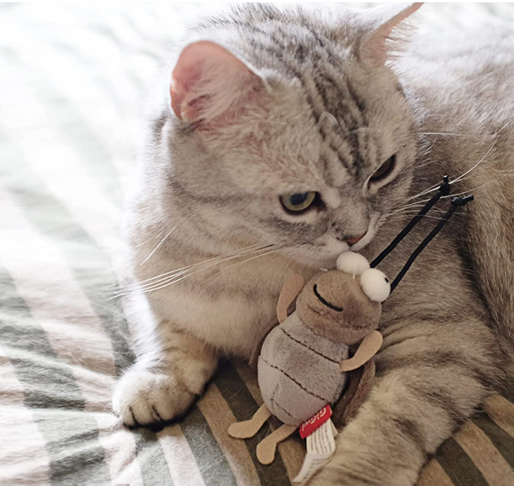 Gigwi grillo, regalo perfecto para gatos curiosos y activos.