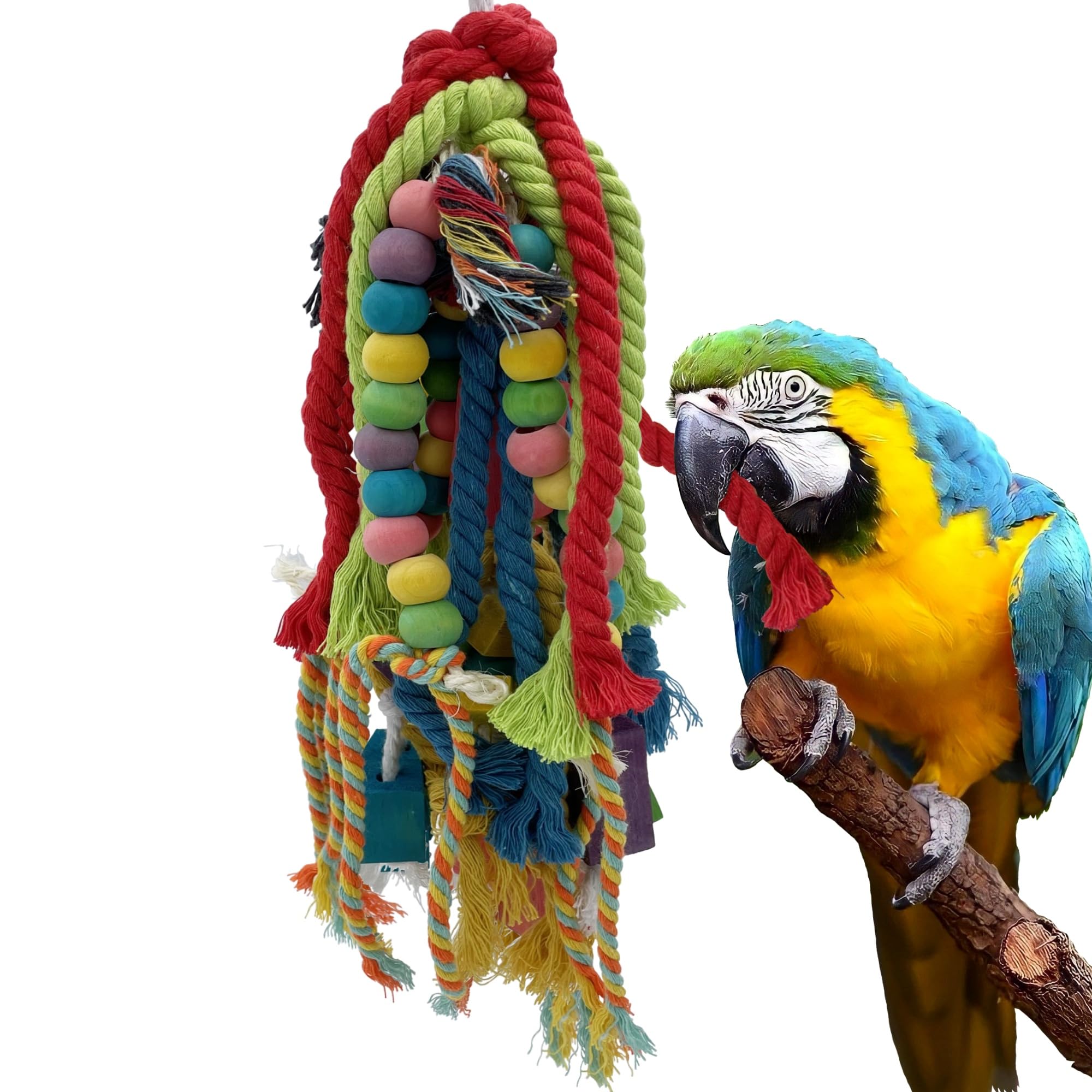 Juguete GILYGI en madera y cuerda para loros, fomenta masticación segura y juego diario.