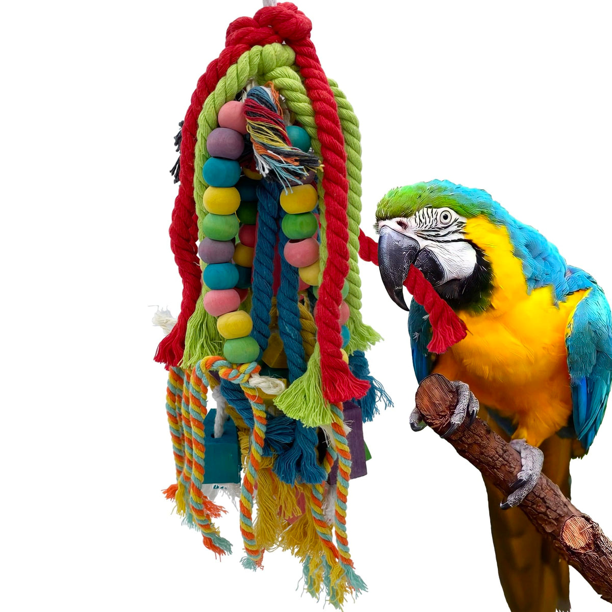 Juguete GILYGI en madera y cuerda para loros, fomenta masticación segura y juego diario.