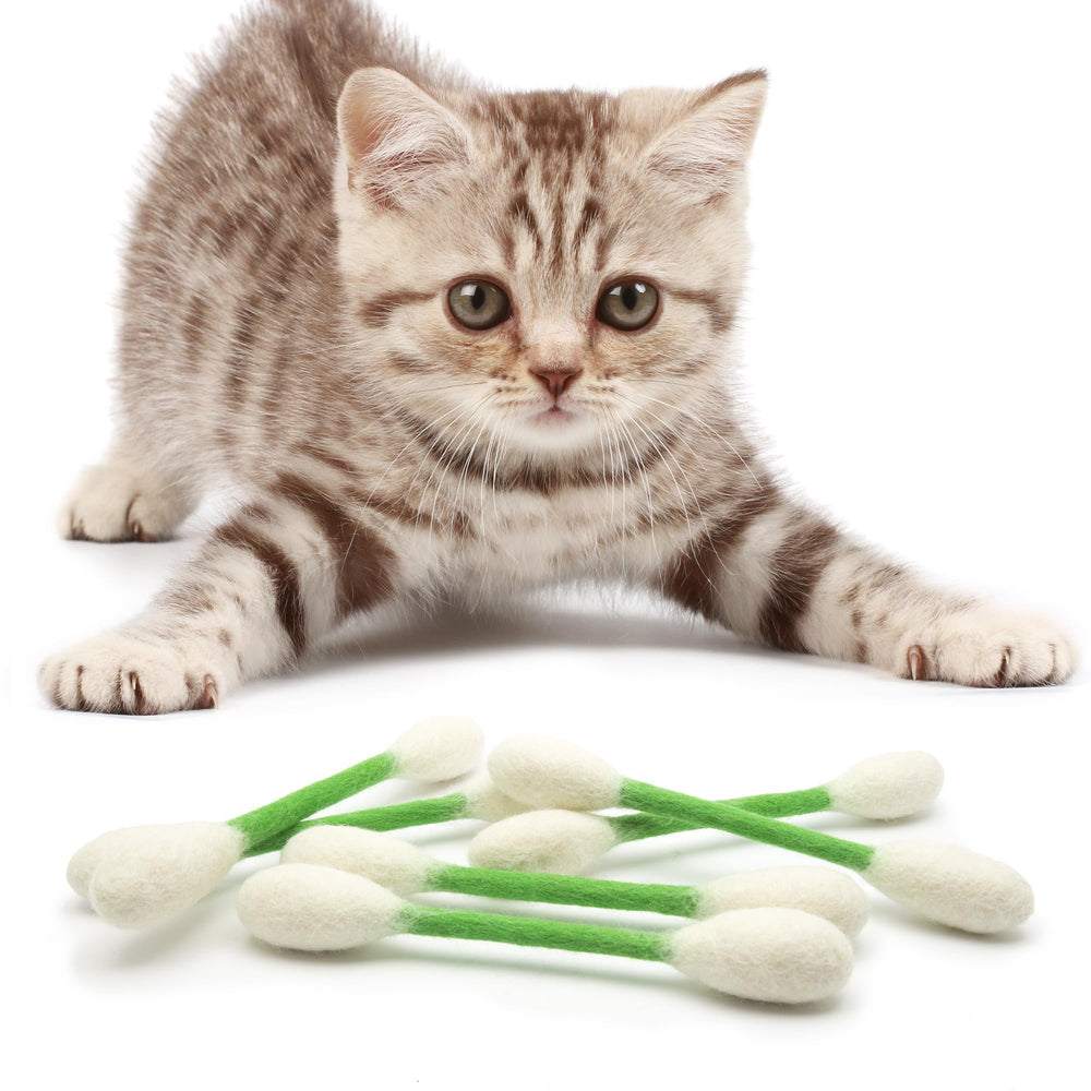 Glaciart One: regalo ideal para dueños y gatos con hierba gatera.