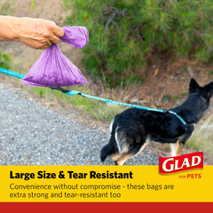 Diseños coloridos de Glad para mascotas para uso diario y con estilo.