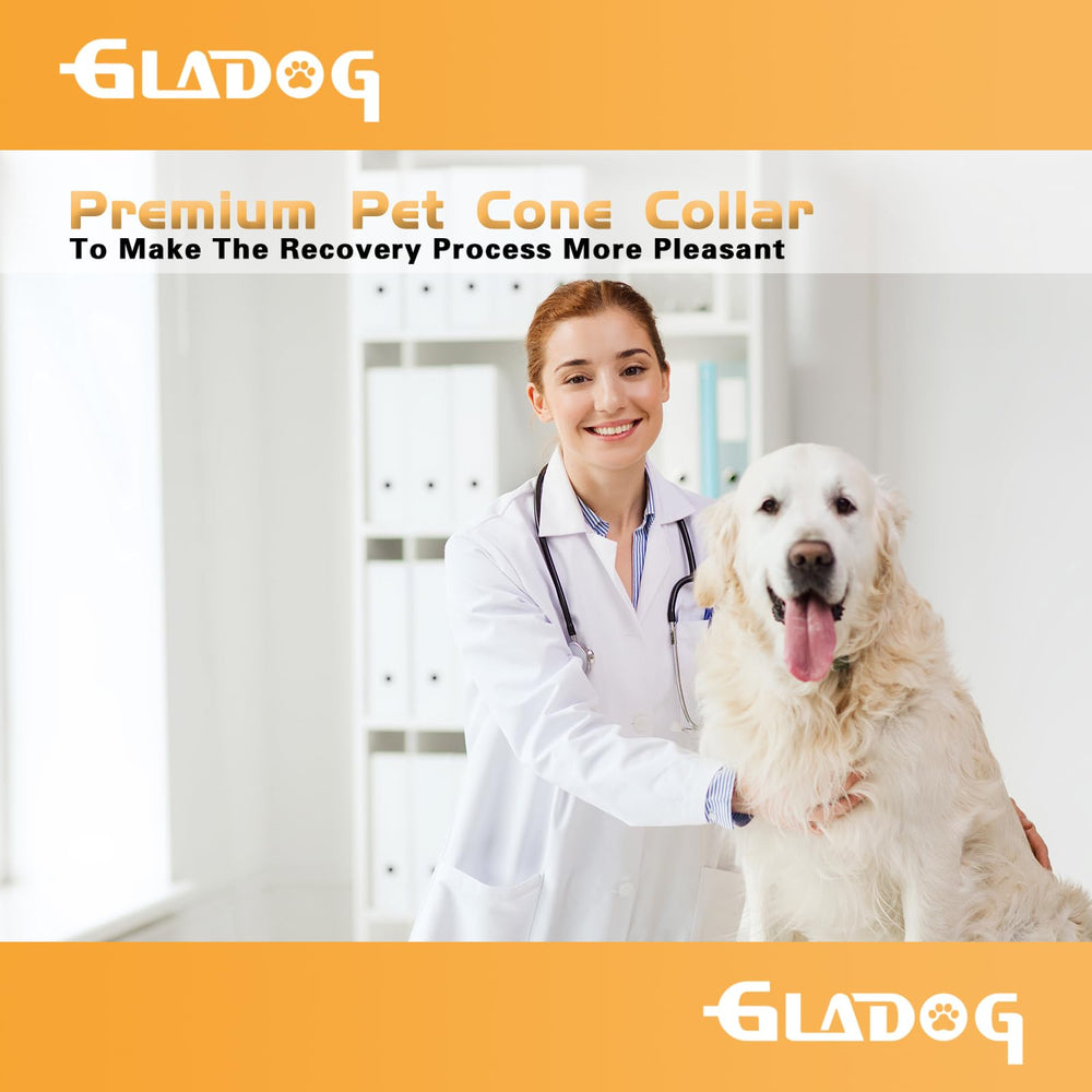 GLADOG collier conique doux tailles ajustables pour tous les chiens