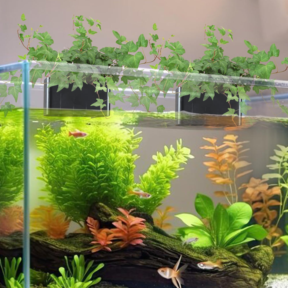 GLEFLE diseño-gancho-acuario, instalación rápida y segura