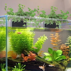 GLEFLE diseño-gancho-acuario, instalación rápida y segura