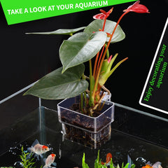 GLEFLE diseño único para acuario, instalación rápida y estable.