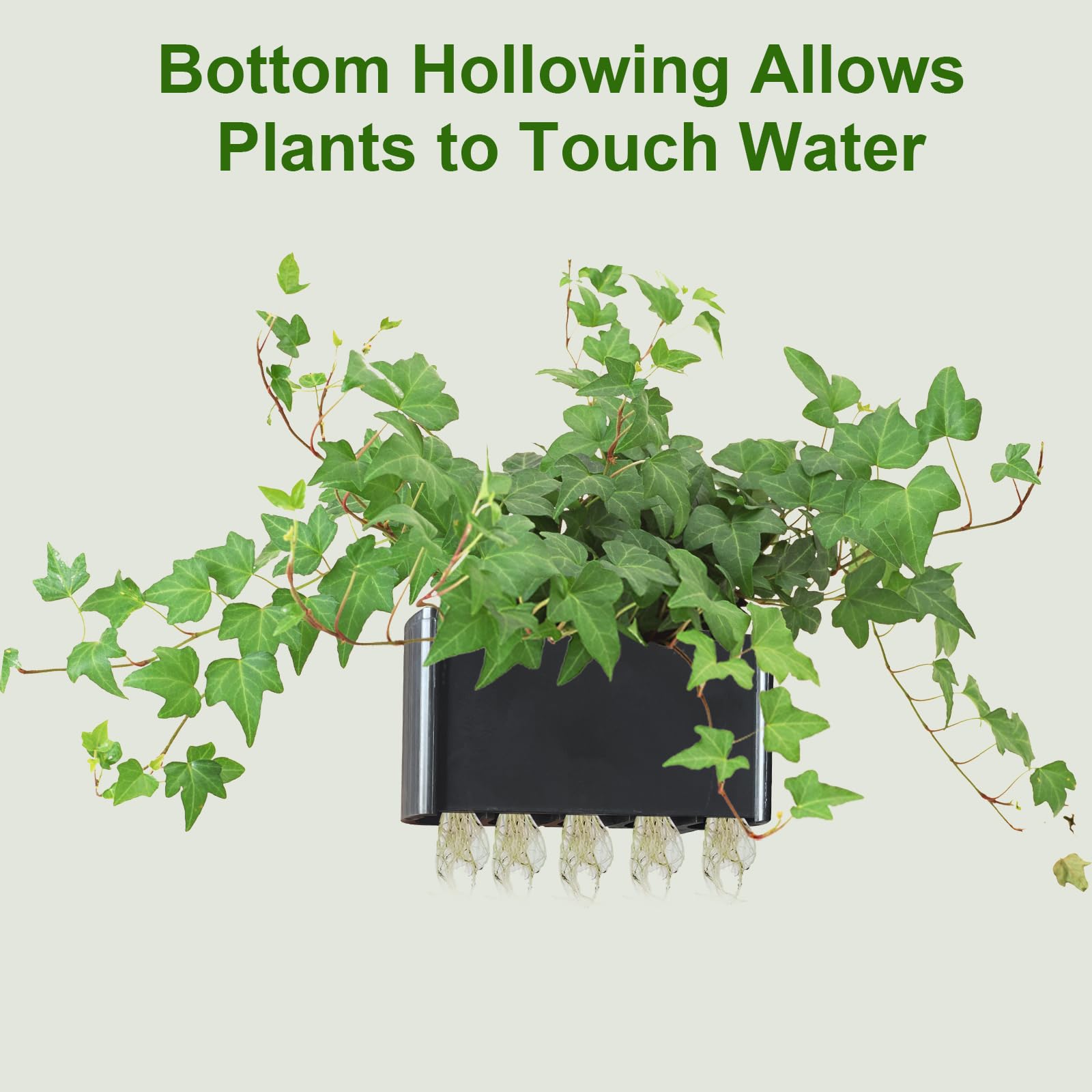 GLEFLE lotus-acuario-planta-colgante, opción para plantas ornamentales