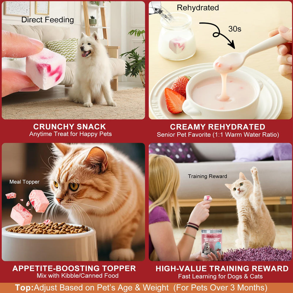 Globalpaw almacenamiento en lugar fresco y seco para conservar frescura.