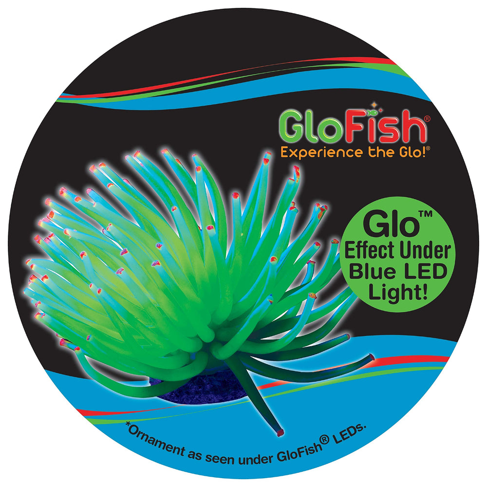 GloFish Anémona Amarilla muestra acabado plateado bajo luces.