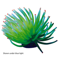 GloFish Anémona Amarilla brilla bajo iluminación azul.