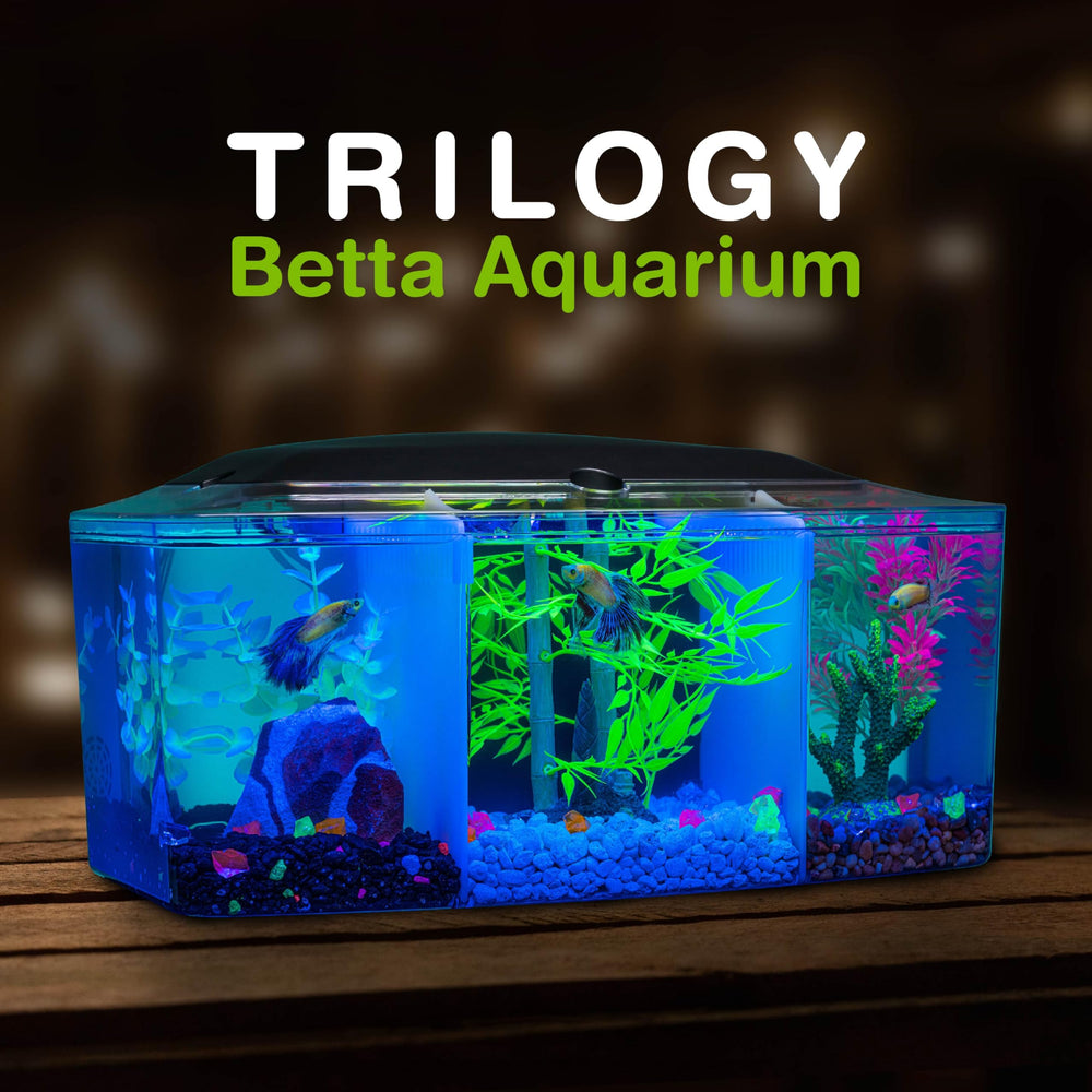 Capacidad total de 3 galones en el GloFish Betta Trilogy.
