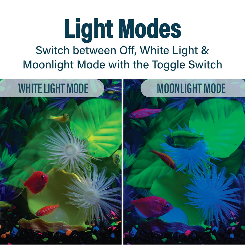Decoración y plantas opcionales para realzar el efecto fluorescente del GloFish Betta Trilogy.
