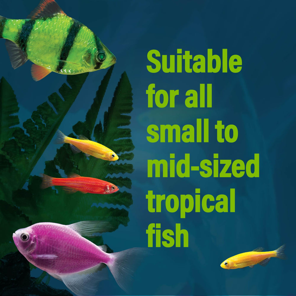 Envase duradero de GloFish, solución cómoda para el acuario doméstico.