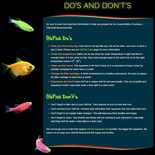 Detalles de grava GloFish que mejoran el fondo del acuario
