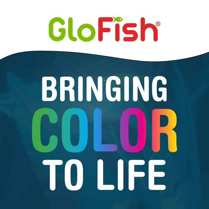 La grava de GloFish mejora la experiencia visual sin afectar la claridad del agua.