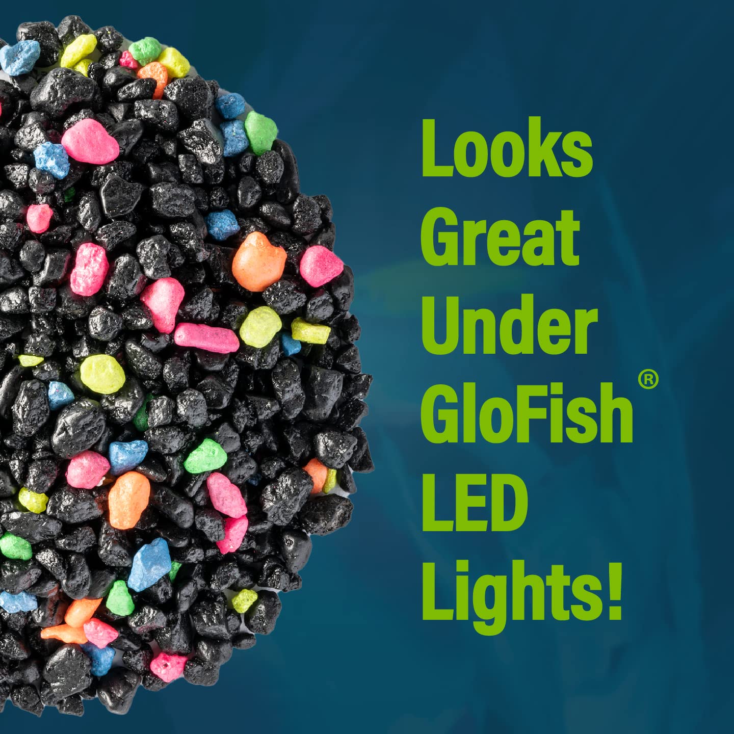 GloFish grava blanca con acentos fluorescentes aporta un aspecto limpio y vibrante.