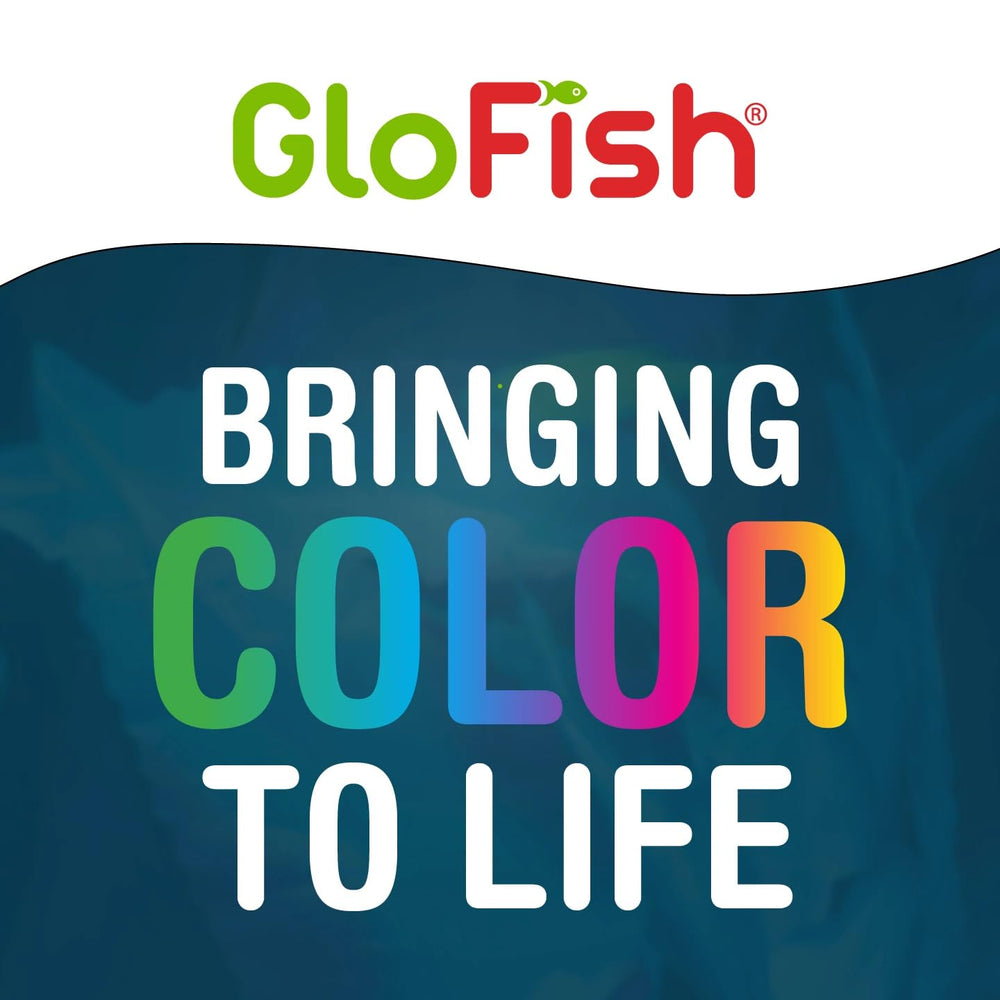 Ambiente marino con grava GloFish que brilla y atrae miradas
