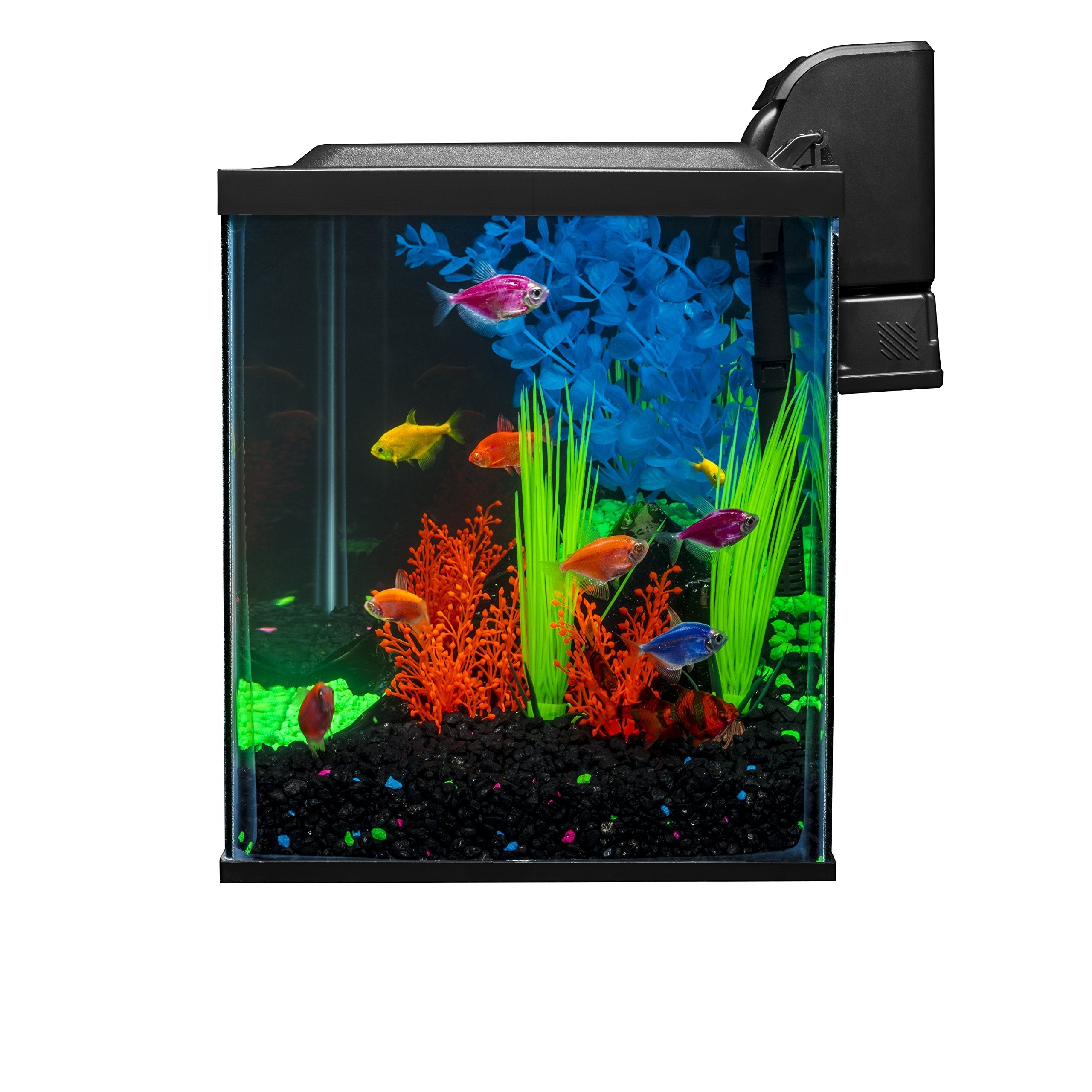 Dimensiones del acuario 20 x 10 x 12 pulgadas para un tamaño compacto