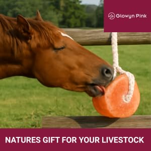 Glowyn Pink Sal Himalaya, mordida en primer plano, sabor natural preferido por equinos.