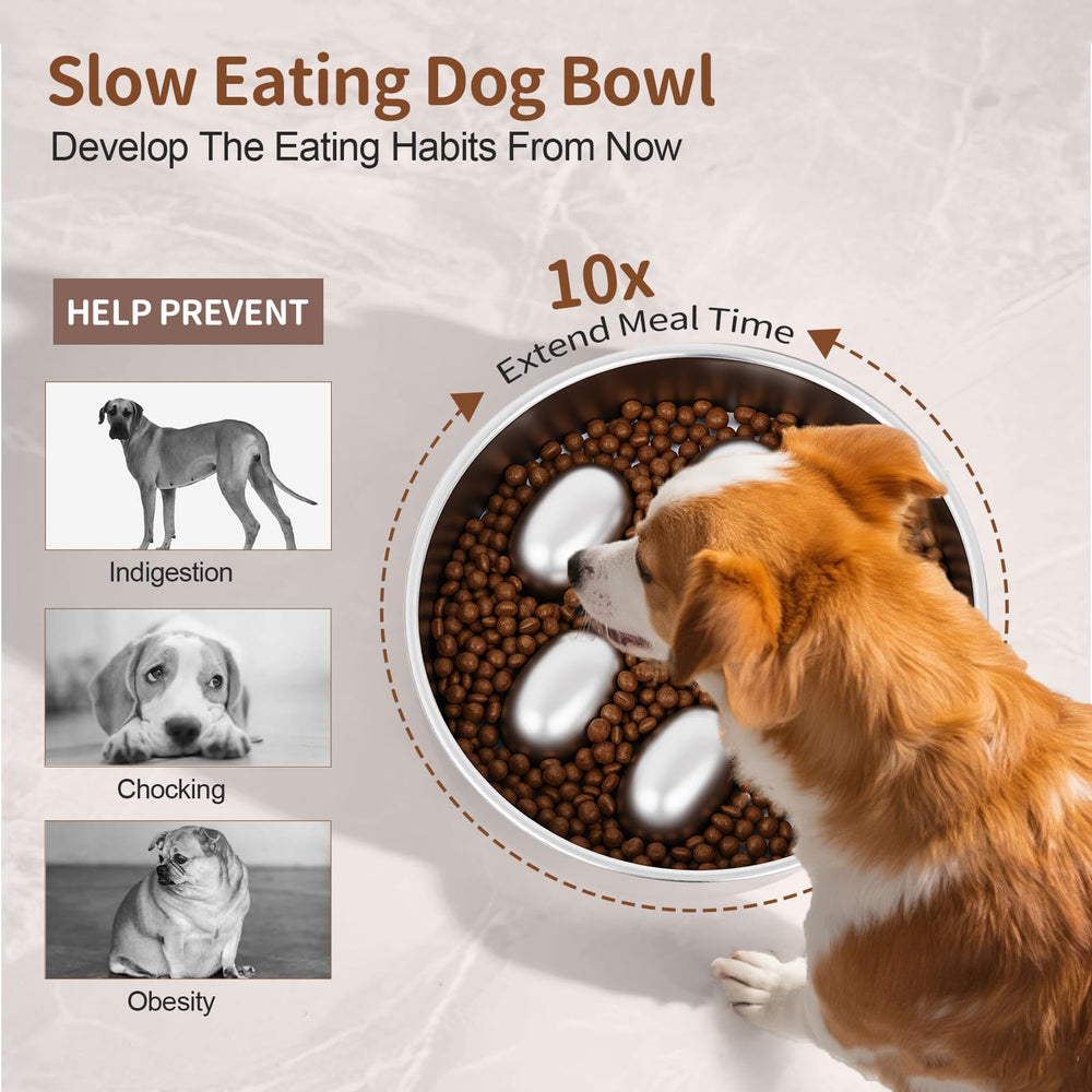GLYVIAN comedero lento: capacidad de dos tazas para perros de diferentes tamaños.