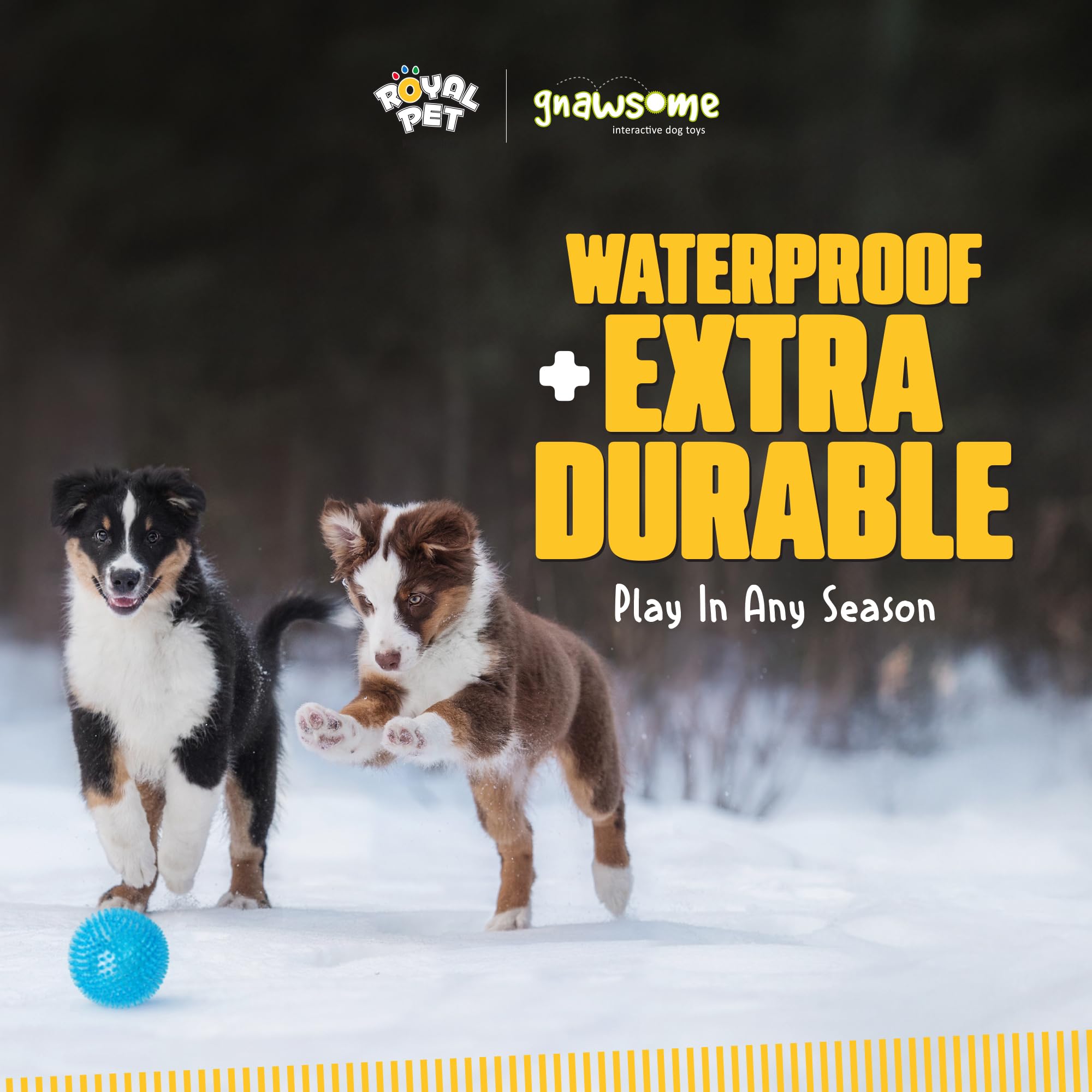 Gnawsome bola colores vivos para estimular la atención del perro.